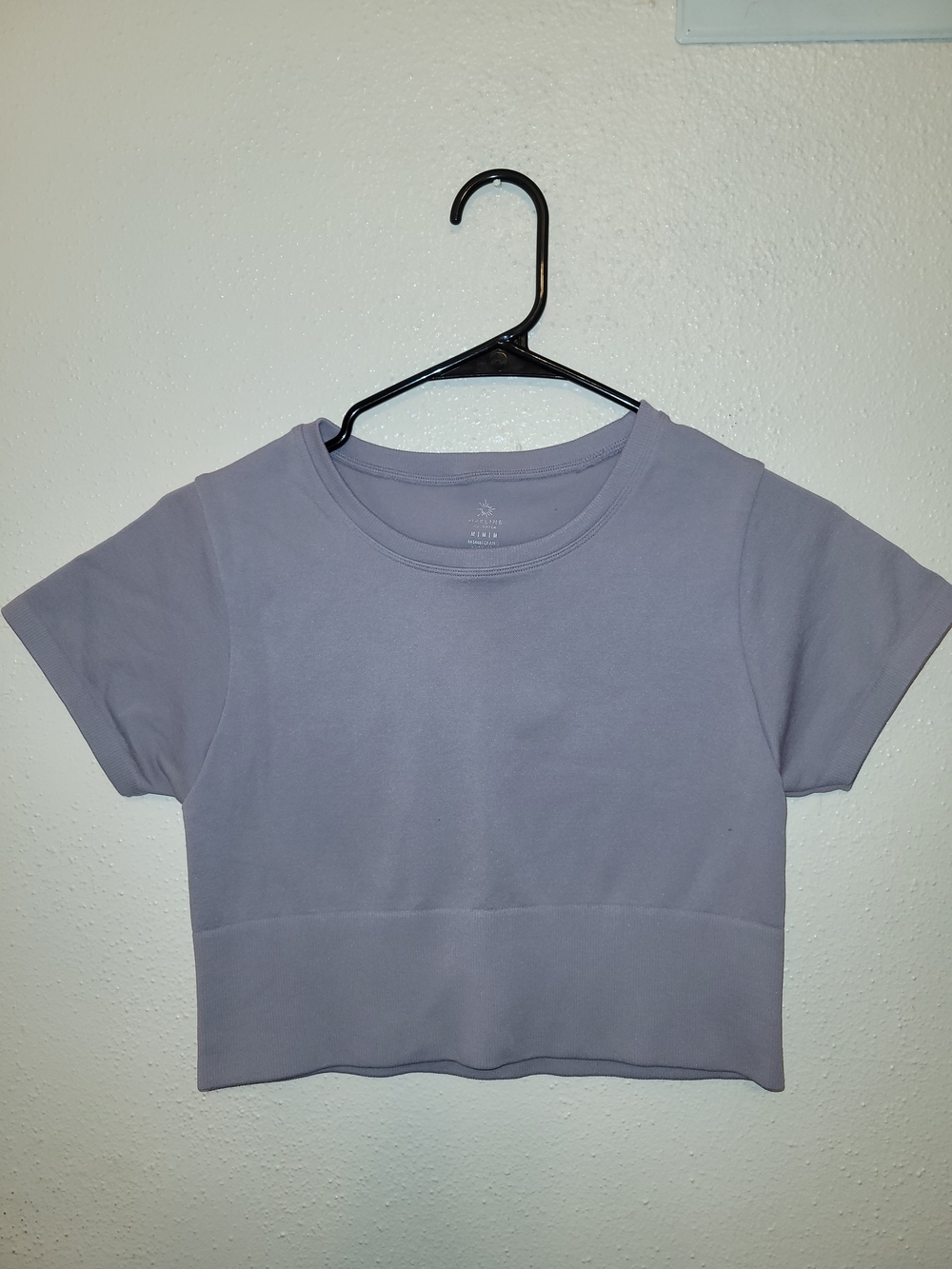 OFFLINE by Aerie Sidewalk Seamless Cropped T-Shirt Lavender Medium